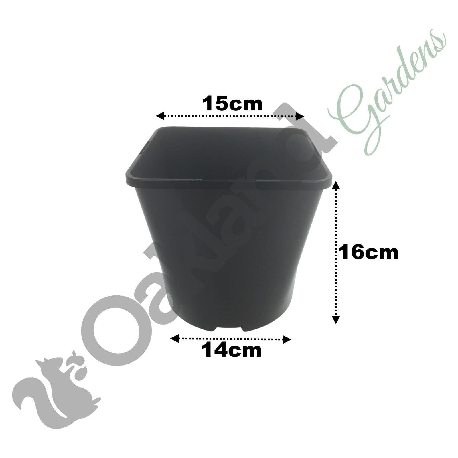 3 Litre Square Plant Pots Durable Black Containers for Larger Specimens