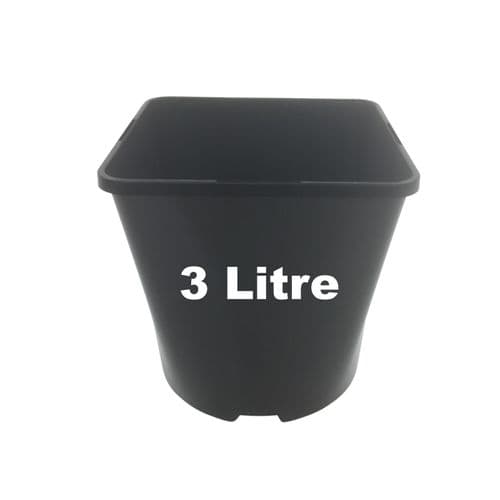 3 Litre Square Plant Pots – Durable Black Containers for Larger Specimens