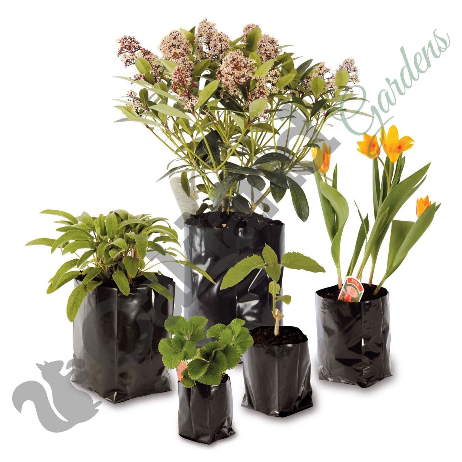 5 Litre Poly Pot Durable Recyclable Polythene Grow Bag with Pre-Cut Drainage