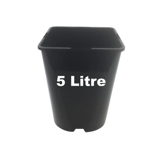 5 Litre Square Plant Pots – Durable Black Containers for Larger Specimens