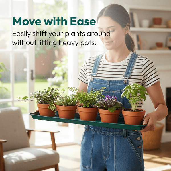 61 cm Medium Windowsill Tray – Sturdy Plastic Drip Tray for Indoor Plant Displays