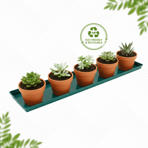 69 cm Large Windowsill Tray – Wide Plastic Drip & Display Base for Pots