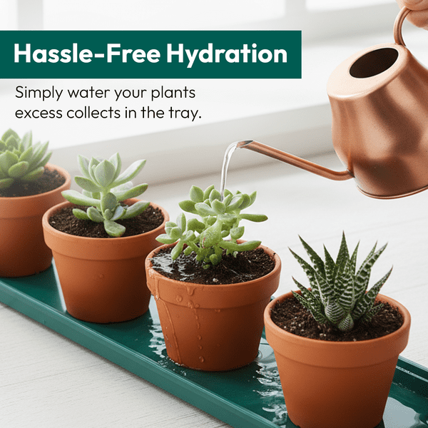 69 cm Large Windowsill Tray – Wide Plastic Drip & Display Base for Pots