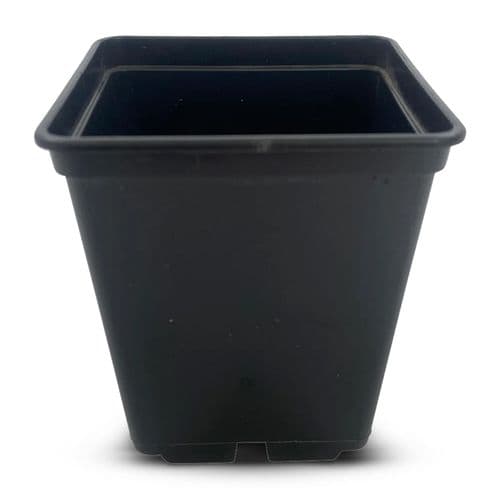 7 cm Square Plant Pots – Durable Black Seedling & Propagation Containers