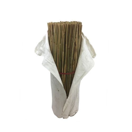 Bamboo Canes