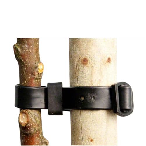 straps to support trees at isabella obrien blog Images... Tree & Plant Support - Oakland Gardens