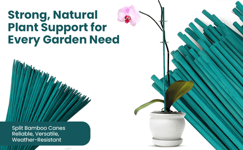 Flower Sticks / Split Canes