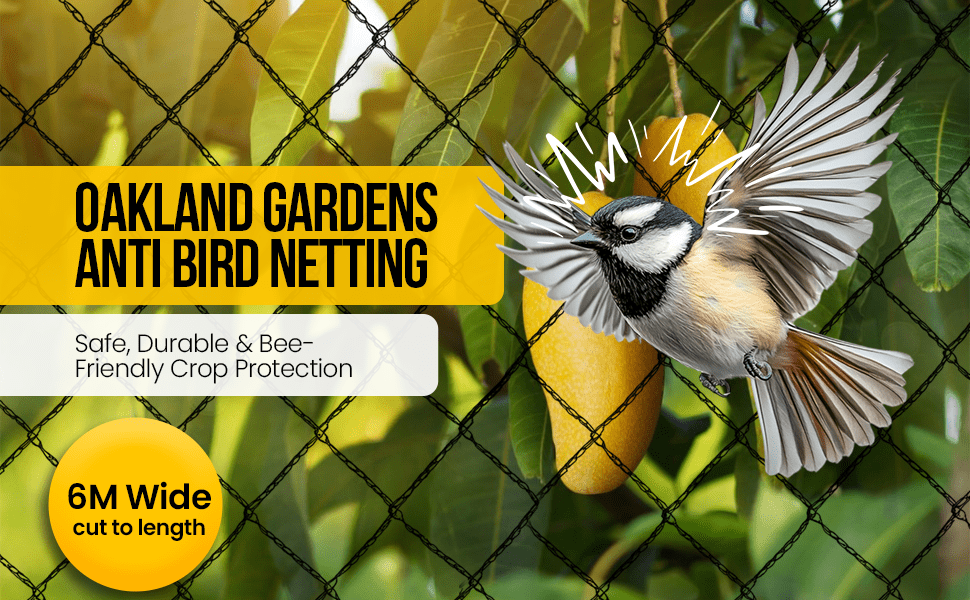 Garden Bird Netting 6 m Wide 20 mm UV-Stabilised Anti-Bird Mesh Sold by ...