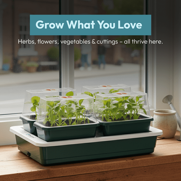 Fab 4 Electric Propagator | Heated Seed Starter with 4 Trays