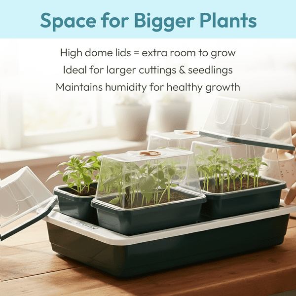 Fab 4 Electric Propagator | Heated Seed Starter with 4 Trays
