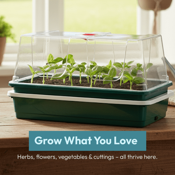 One Top Electric Propagator | Compact Heated Seed Starter