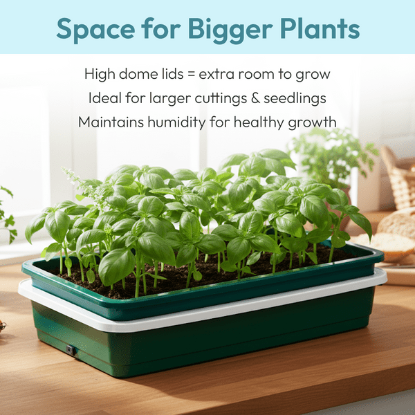 One Top Electric Propagator | Compact Heated Seed Starter
