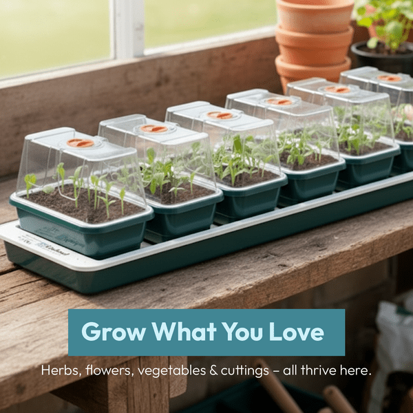 Super 7 Electric Windowsill Propagator | Heated Seed Starter Tray