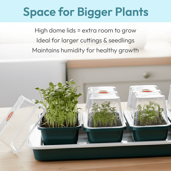 Super 7 Electric Windowsill Propagator | Heated Seed Starter Tray