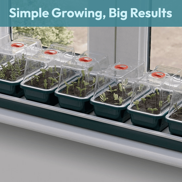 Super 7 Electric Windowsill Propagator | Heated Seed Starter Tray