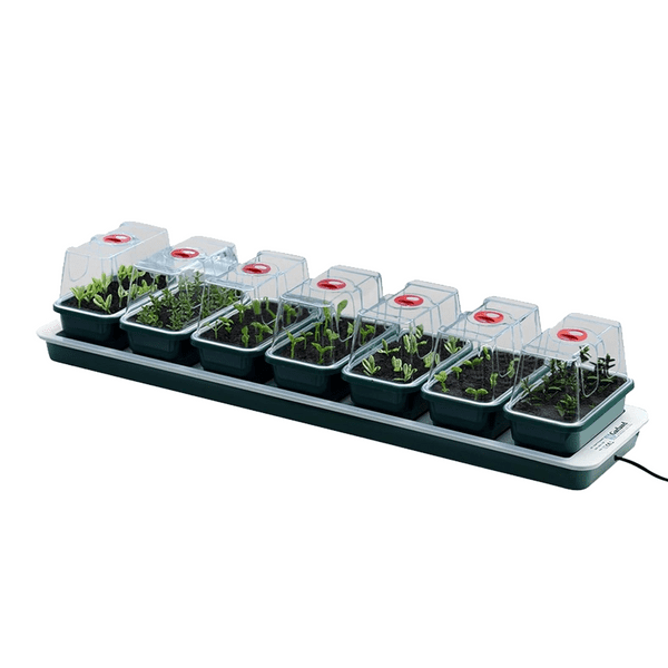 Super 7 Electric Windowsill Propagator | Heated Seed Starter Tray