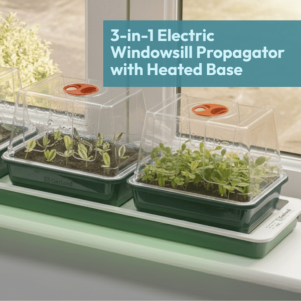 Trio Top Electric Windowsill Propagator | Heated Seed Starter