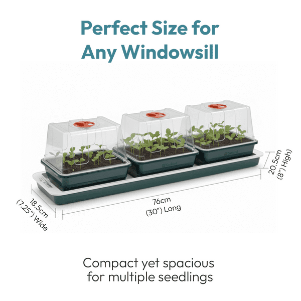 Trio Top Electric Windowsill Propagator | Heated Seed Starter