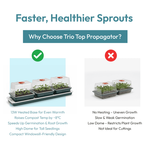 Trio Top Electric Windowsill Propagator | Heated Seed Starter