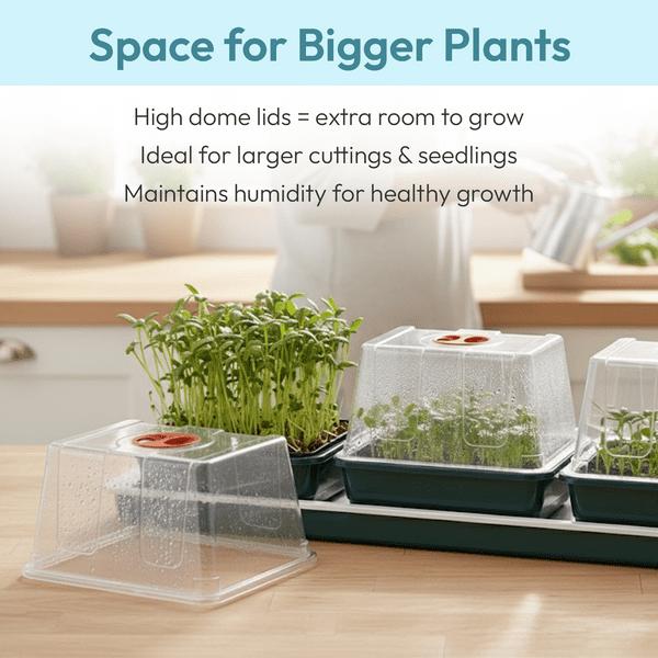 Trio Top Electric Windowsill Propagator | Heated Seed Starter