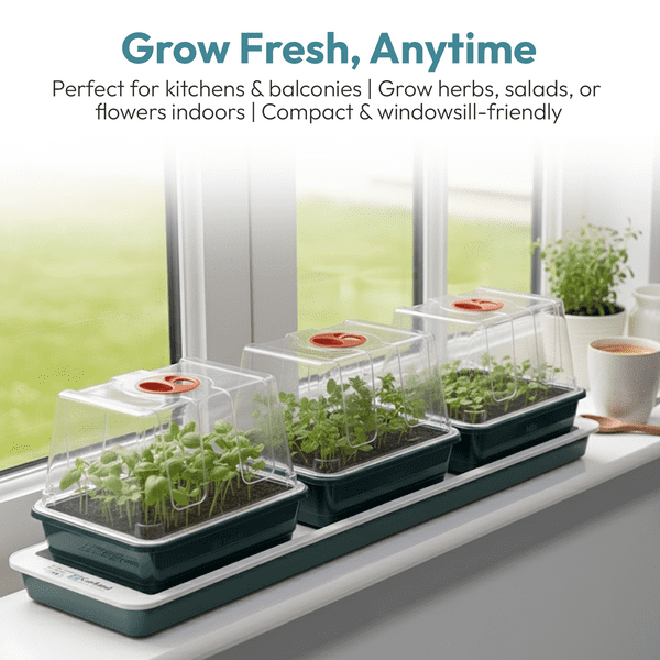 Trio Top Electric Windowsill Propagator | Heated Seed Starter