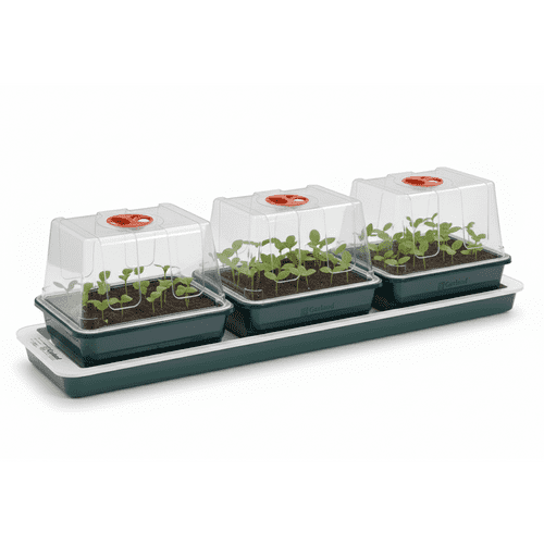 Garland Trio Top Electric Windowsill Propagator – Heated Seed Starter with 3 Chambers