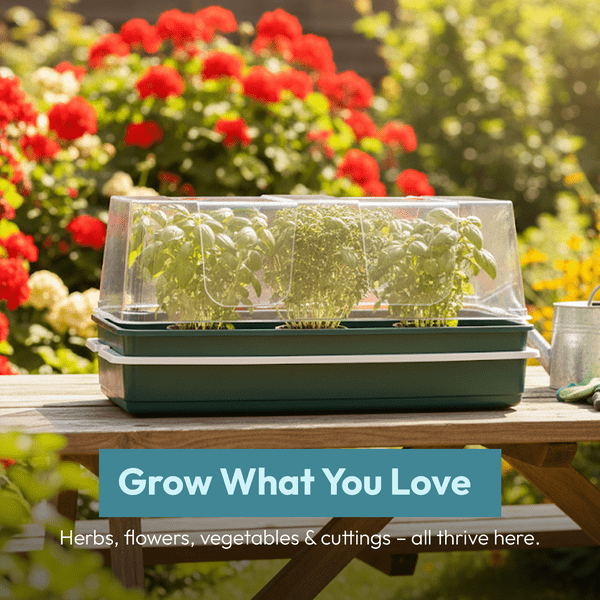 XL High Dome Electric Propagator | 24W Heated Seed Starter Tray