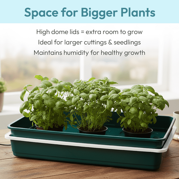 XL High Dome Electric Propagator | 24W Heated Seed Starter Tray