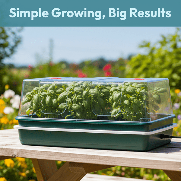 XL High Dome Electric Propagator | 24W Heated Seed Starter Tray