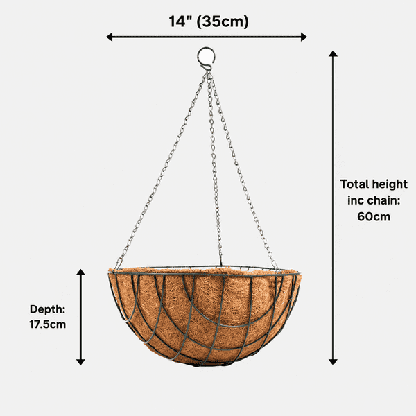 Hanging Basket with Coco Liner & Chain – Round Wire Garden Planter 12