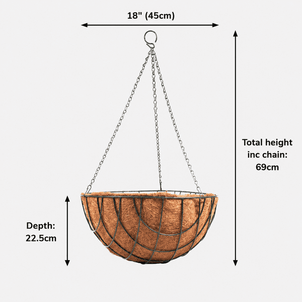 Hanging Basket with Coco Liner & Chain – Round Wire Garden Planter 12