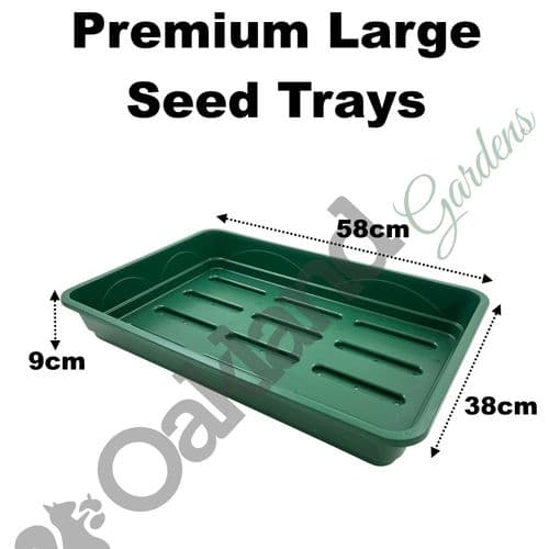 Large 58 cm Seed Tray with Holes – Heavy-Duty Propagation Tray