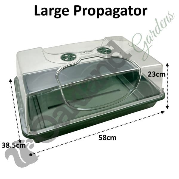 Large Propagator – Spacious Clear Dome & Base Tray for Advanced Germination