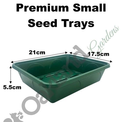Small 21 cm Seed Tray with Holes – Compact Propagation Tray