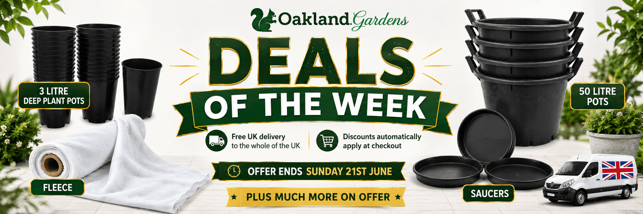 Deal of the week