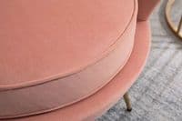 Ariel Chair Coral