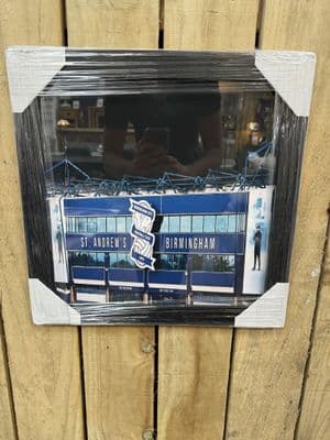 Birmingham City Stadium Picture