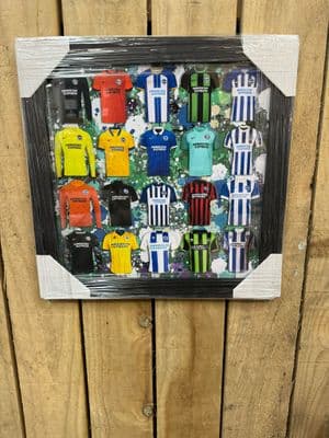 Brighton Football Shirt Picture