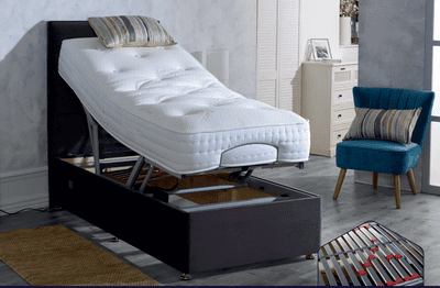 Ludlow Electric Bed