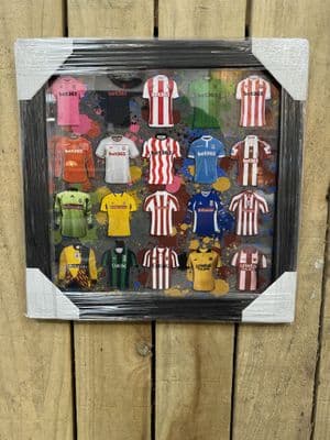 Stoke City Football Shirt Picture