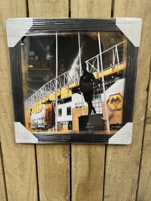 Wolverhampton Wonderers Stadium Picture