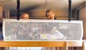 Caravan/motorhome SEITZ Bunk net 1950mm