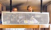 Motorhome caravan bunk safety net ST LA 1500