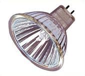 MR11 Halogen Lamp