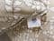 SWIFT set of 3 scatter cushions