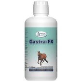 GASTRA-FX