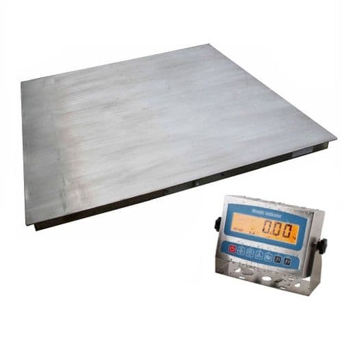 Stainless Steel Platform Scale - 600kg x 0.2kg - 800mm x 800mm