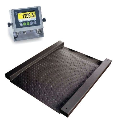 Zone 2/22 ATEX Drive Through Scale - 500kg x 0.1kg - 500mm x 500mm