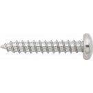 PanHead Torx Screw, #420x.62!