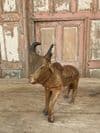 Pair of Teak & Papier Mache Polychrome Bull, Bikaner circa 1900